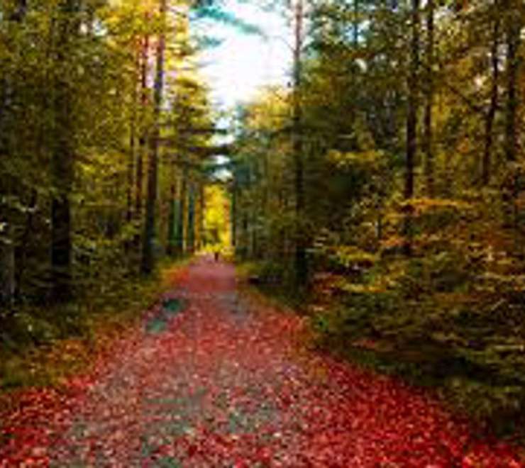 Furulunden Nature Park