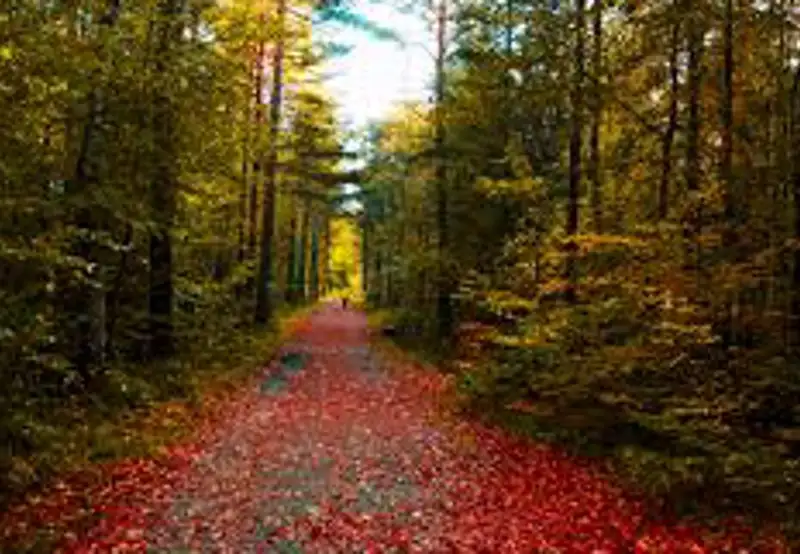 Furulunden Nature Park