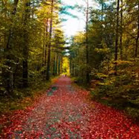 Image related to Furulunden Nature Park