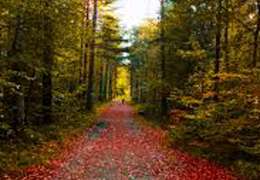 IgluCruise.Application.ViewModels.Shared.WebImageViewModel?.Description