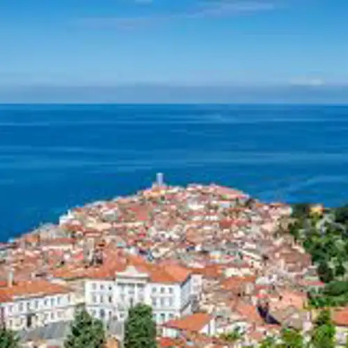 Image related to Piran