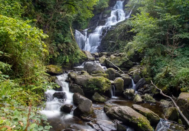 Image related to Killarney National Park