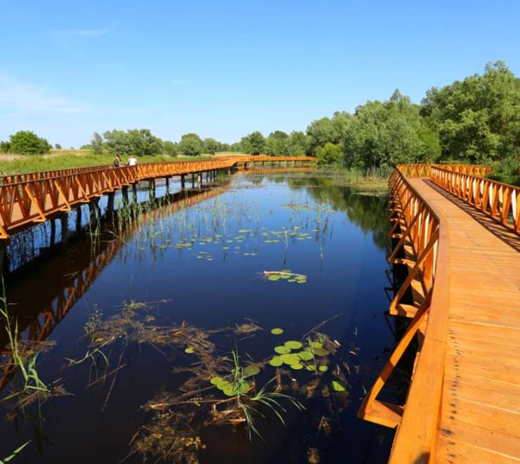 Kopački Rit Nature Park