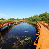 Image related to Kopački Rit Nature Park