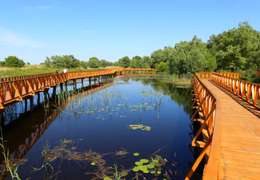 IgluCruise.Application.ViewModels.Shared.WebImageViewModel?.Description