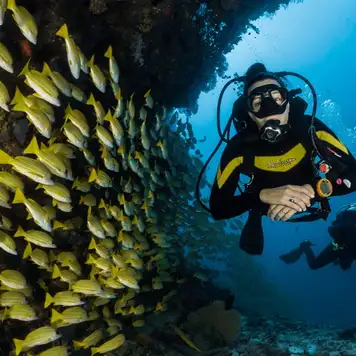 Image related to Scuba Diving 