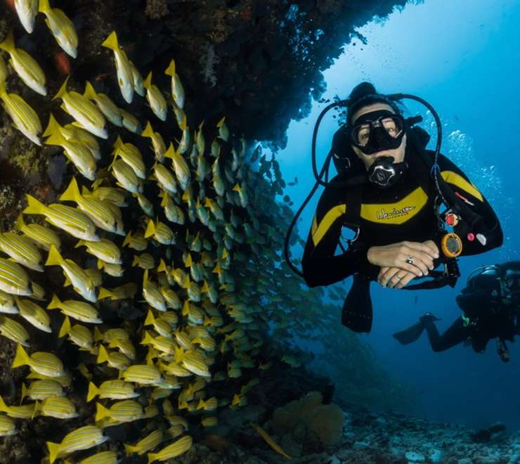 Scuba Diving 