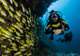 Scuba Diving 