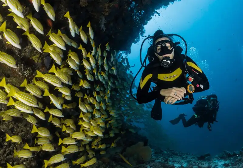 Scuba Diving 