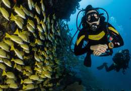 IgluCruise.Application.ViewModels.Shared.WebImageViewModel?.Description