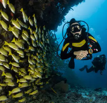 Image related to Scuba Diving 