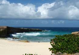 IgluCruise.Application.ViewModels.Shared.WebImageViewModel?.Description