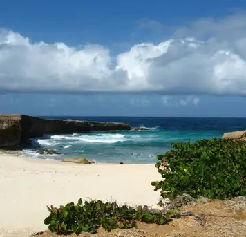 Image related to Arikok National Park