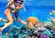 Snorkelling the Blue Coral Reefs