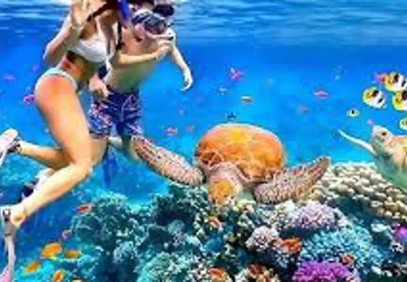 Snorkelling the Blue Coral Reefs