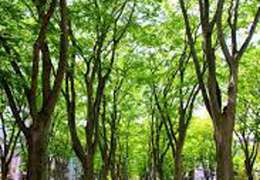 IgluCruise.Application.ViewModels.Shared.WebImageViewModel?.Description