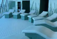 Celebrity Silhouette