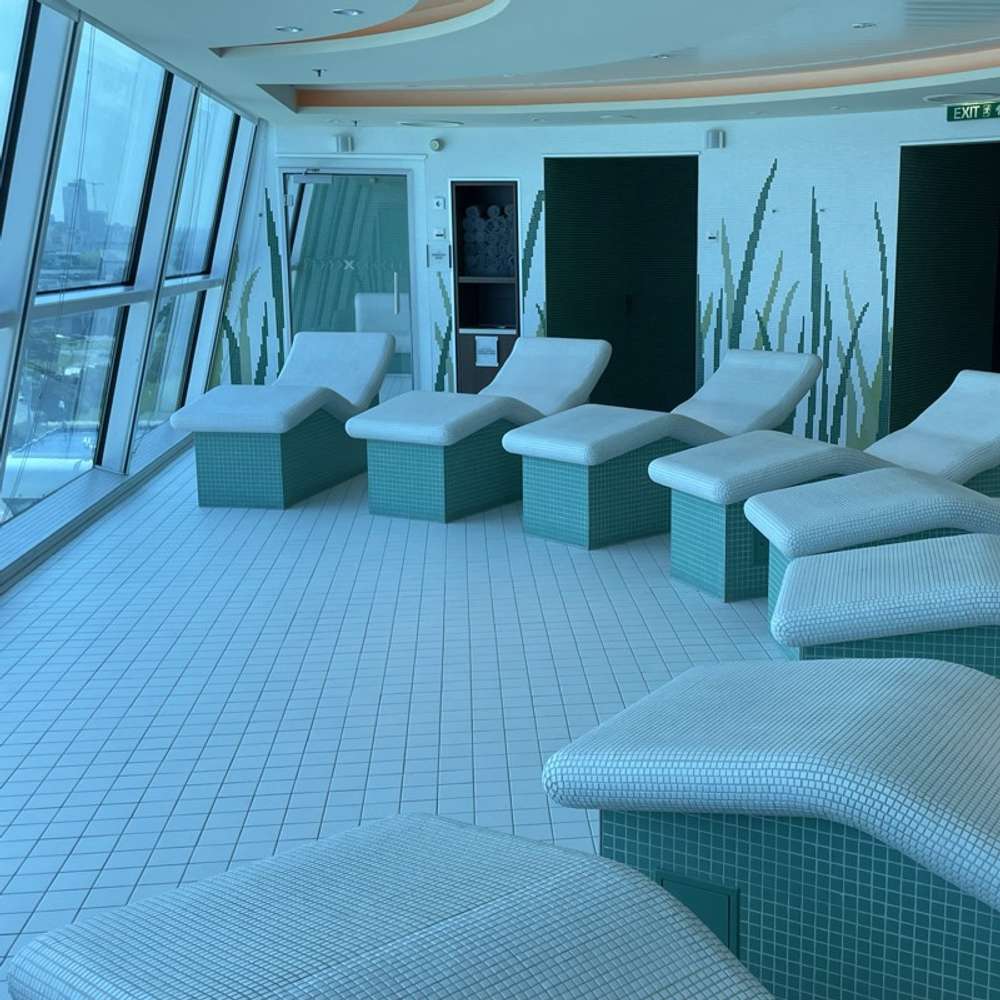 Celebrity Silhouette