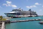 Celebrity Summit