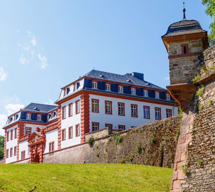 Mainz Citadel