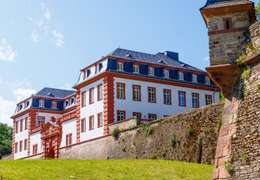 IgluCruise.Application.ViewModels.Shared.WebImageViewModel?.Description