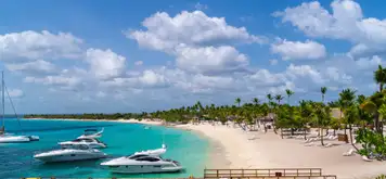 Image related to Catalina Island