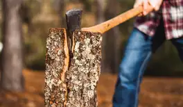 Image related to Image related to Lumberjack Show