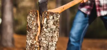 Image related to Lumberjack Show