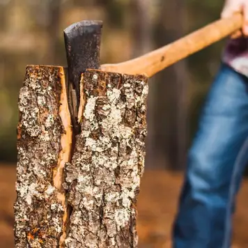 Image related to Lumberjack Show