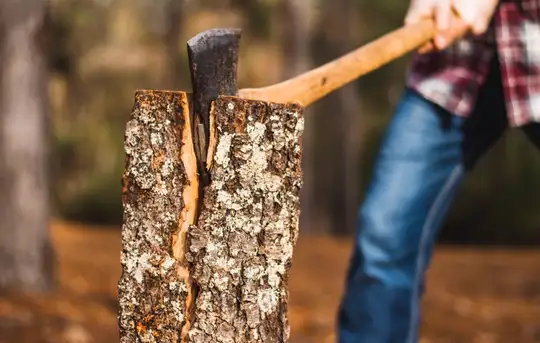 Image related to Lumberjack Show