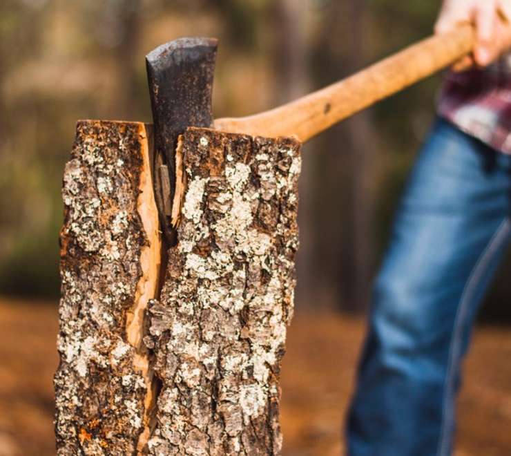 Lumberjack Show