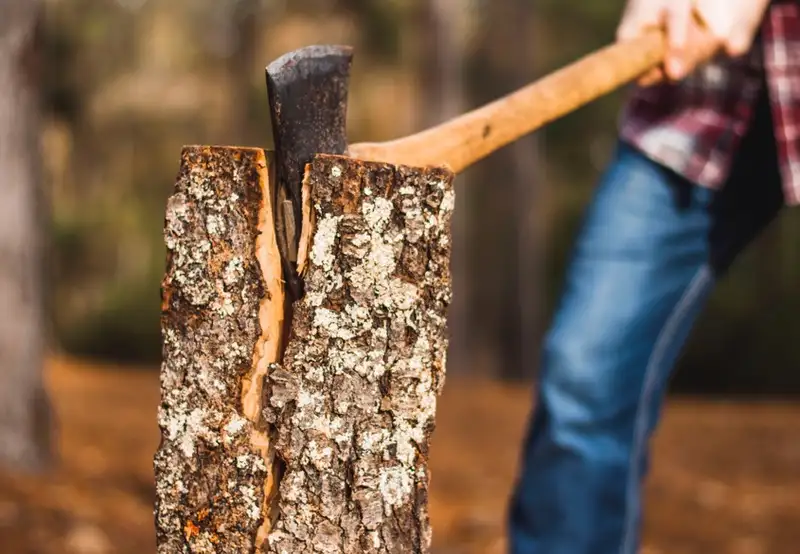 Lumberjack Show