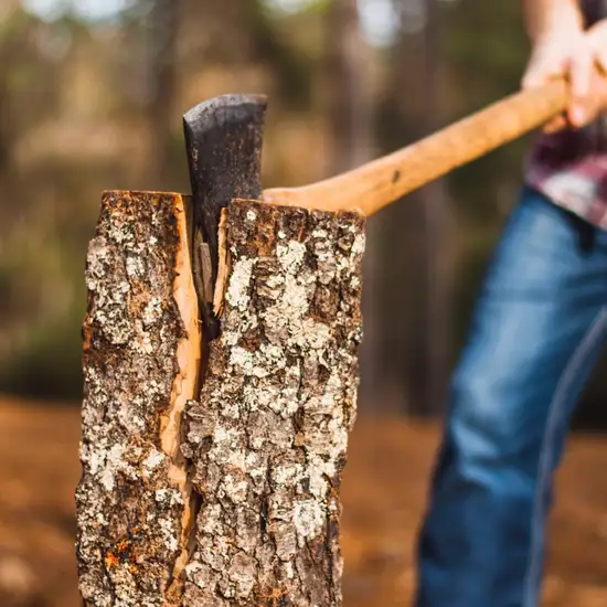 Image related to Image related to Lumberjack Show