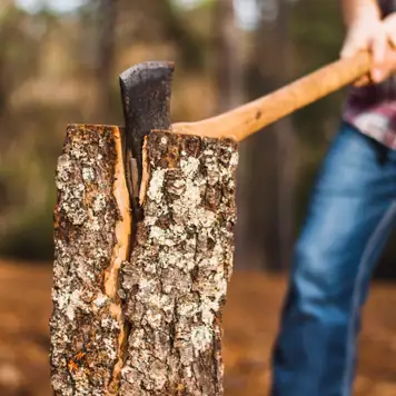 Image related to Lumberjack Show