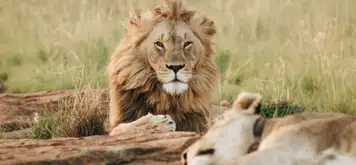 Image related to Omoriyama Zoo