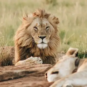 Image related to Omoriyama Zoo