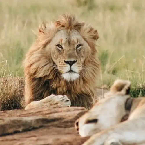 Image related to Image related to Omoriyama Zoo