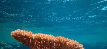 Image related to Marine Park