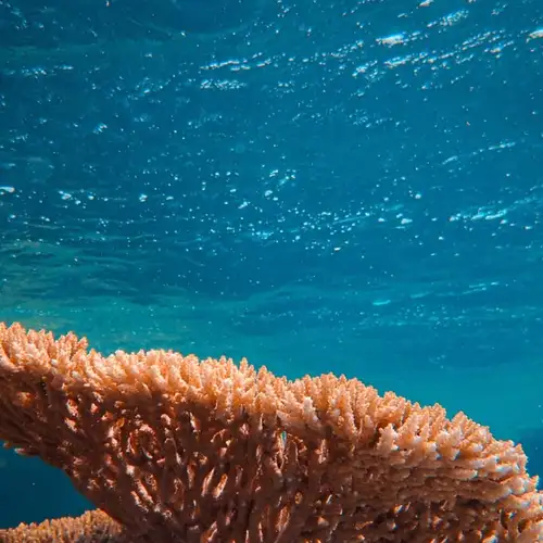 Image related to Marine Park