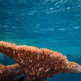 Image related to Marine Park