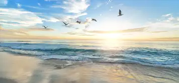 Image related to Image related to Haeundae Beach