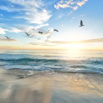 Image related to Haeundae Beach