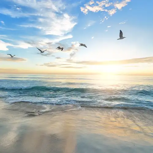 Image related to Haeundae Beach