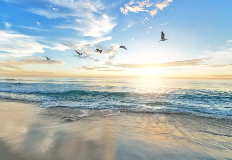 Image related to Haeundae Beach