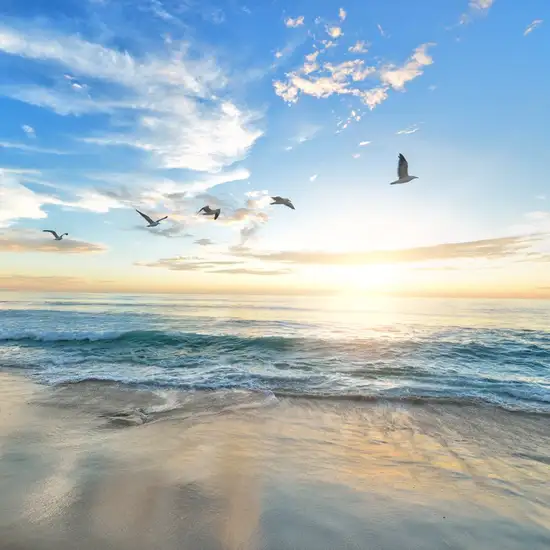 Image related to Haeundae Beach