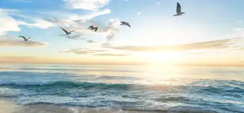Image related to Haeundae Beach