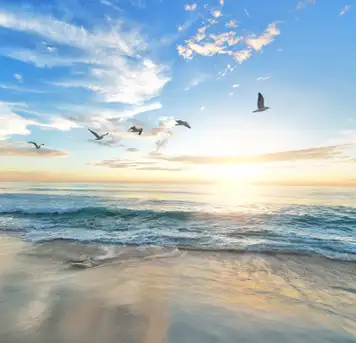 Image related to Haeundae Beach