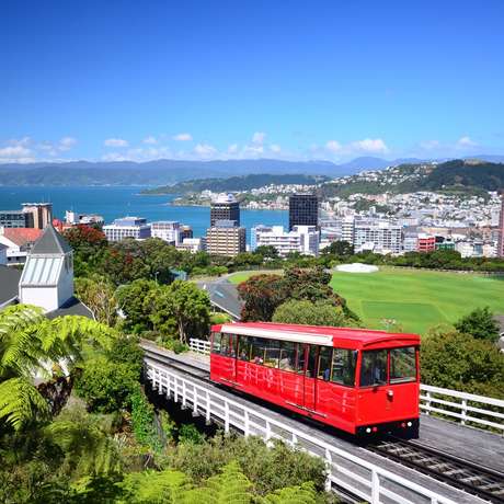 WELLINGTON (NEW ZEALAND)