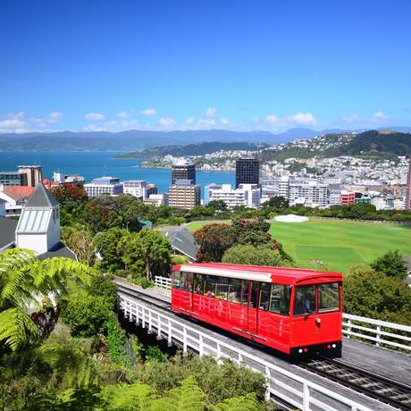 Photo overview of Wellington