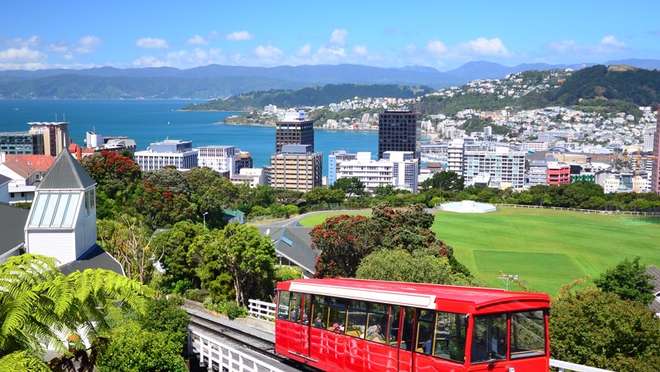Discover the Heart of Wellington